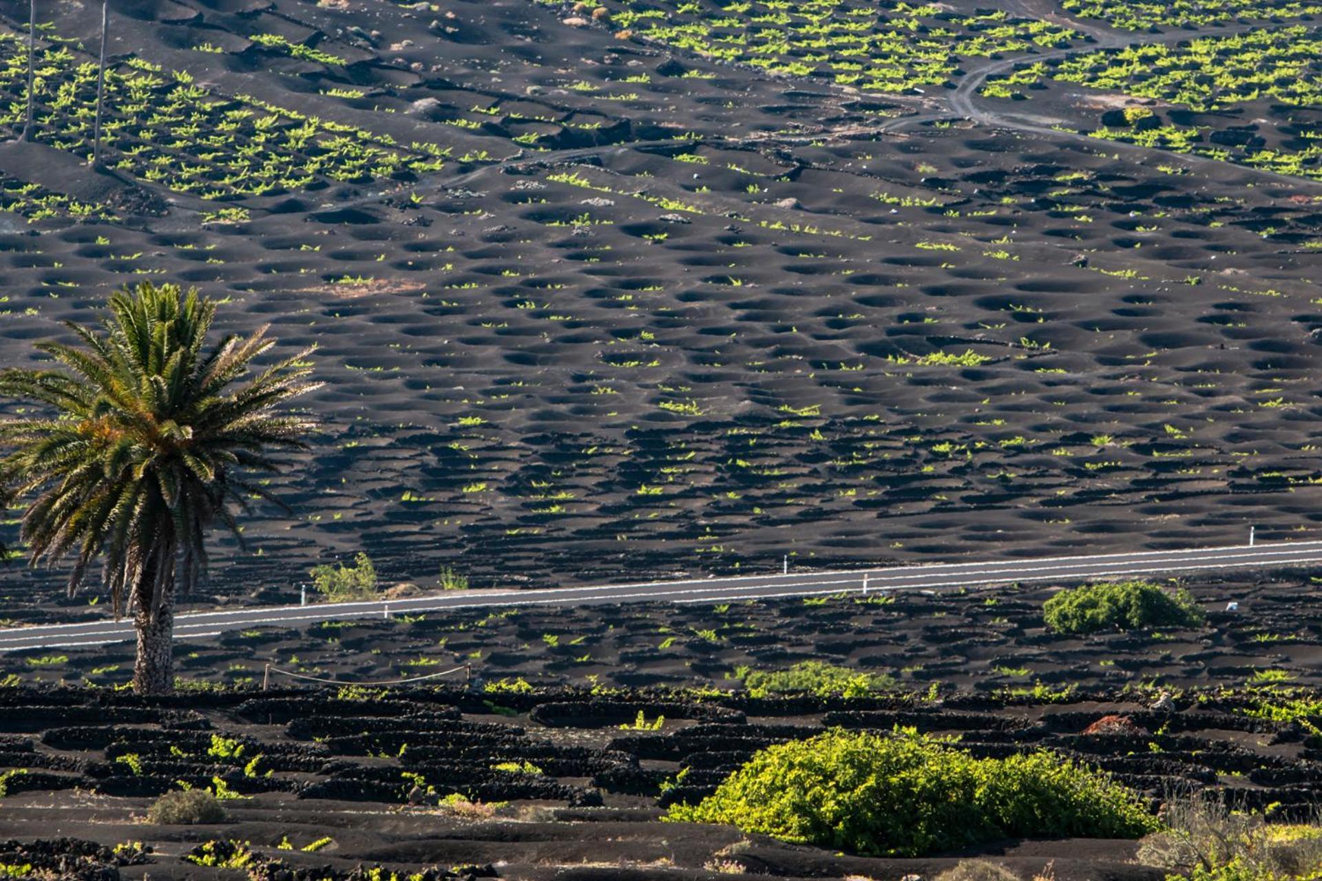 La Casita Del Puerto Διαμέρισμα Πλάγια Μπλάνκα Εξωτερικό φωτογραφία